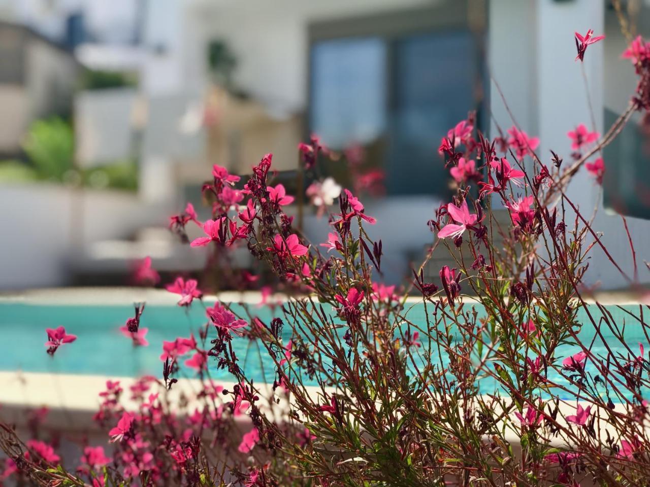 Hotel Creta Blue Luxury Collection (Adults Only) à Hersónissos Extérieur photo